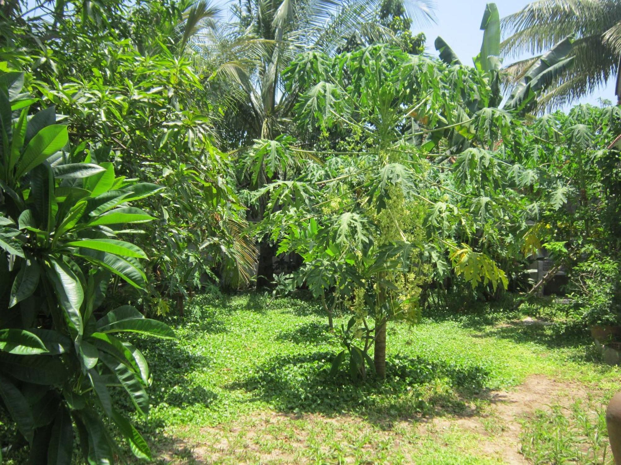 Local Beach Homestay Hoi An Exterior photo